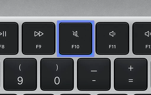 check the mute key mav