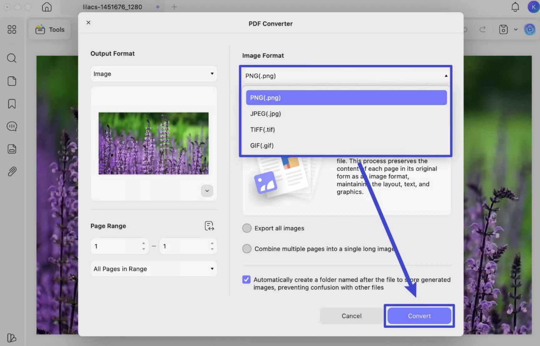 choose an image format to convert in updf