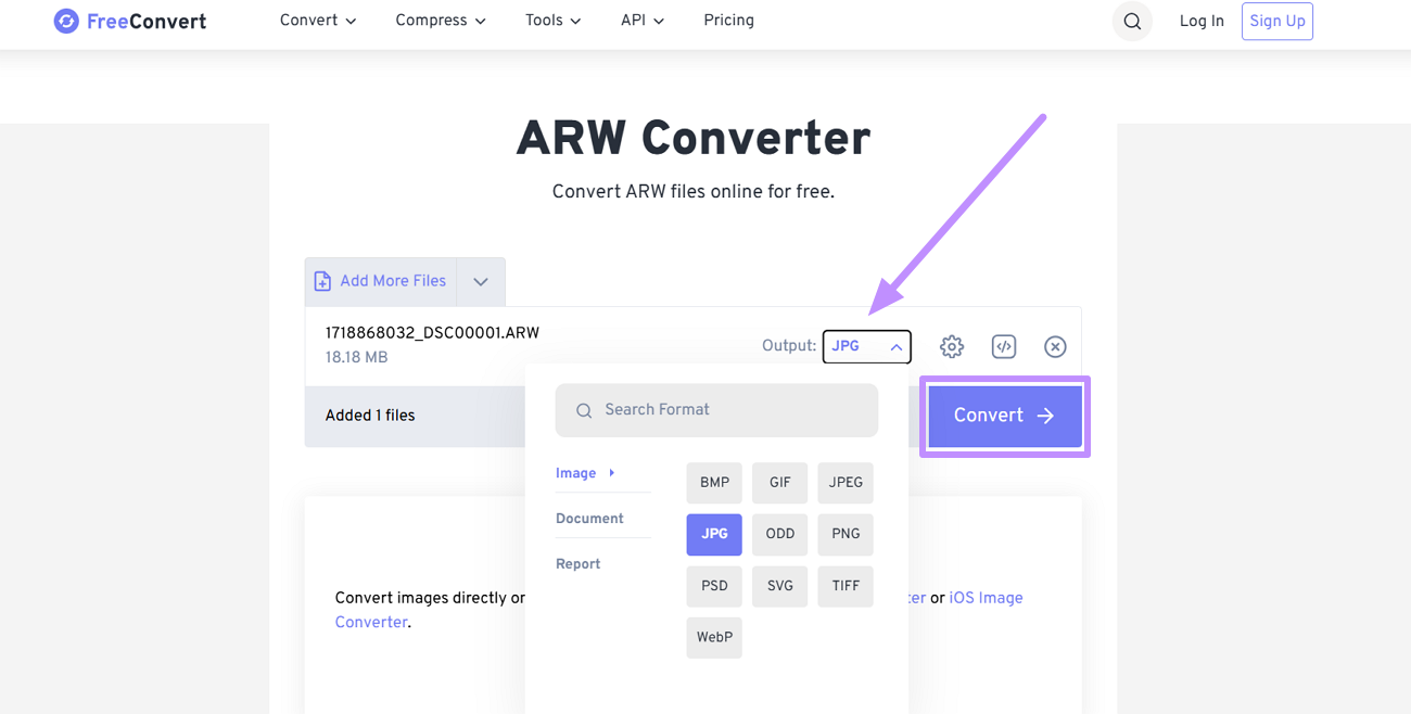 choose format and tap convert