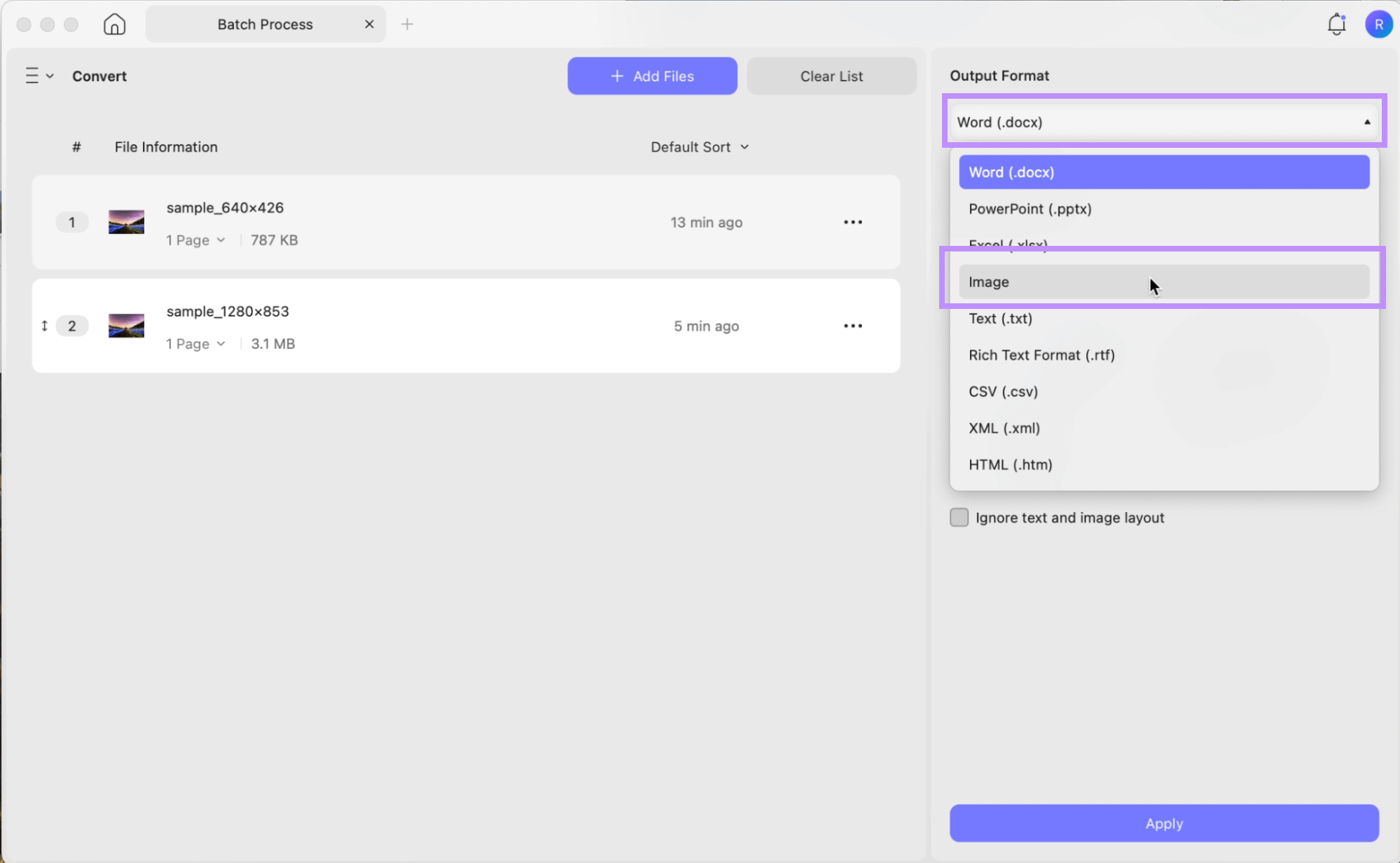 choose the image output format updf mac