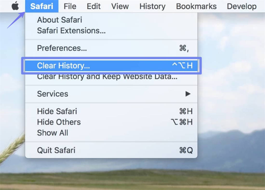  clear safari history mac