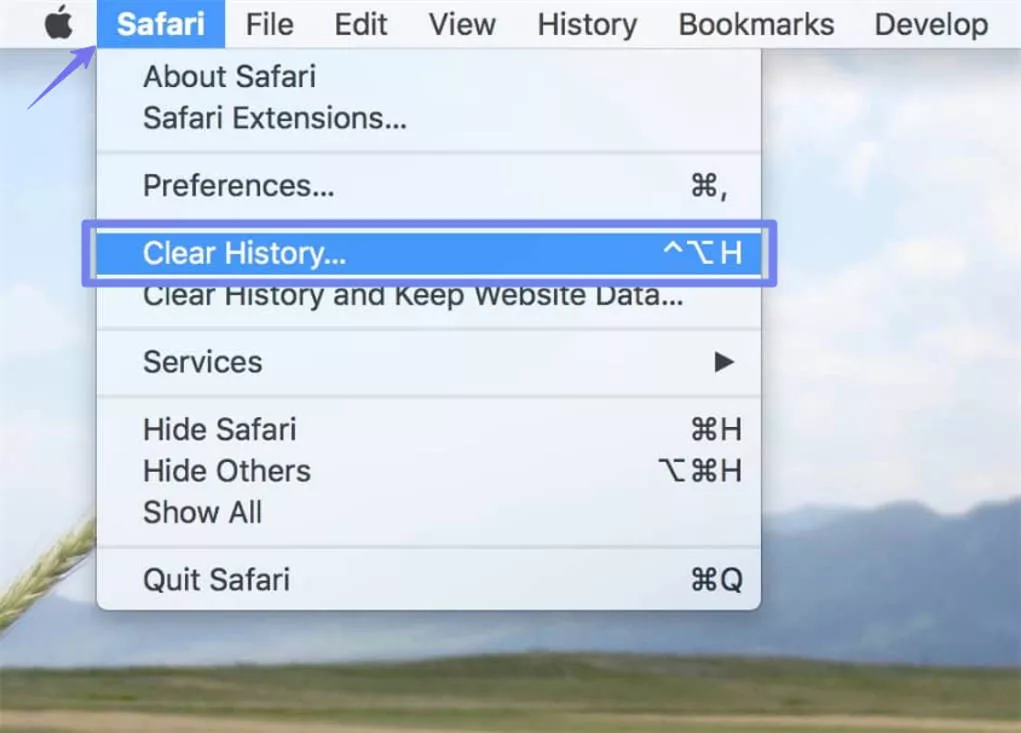  clear safari history mac