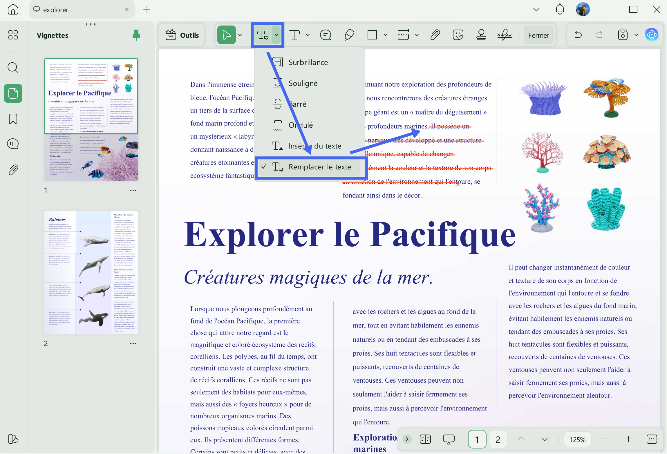 annotation de remplacement de texte