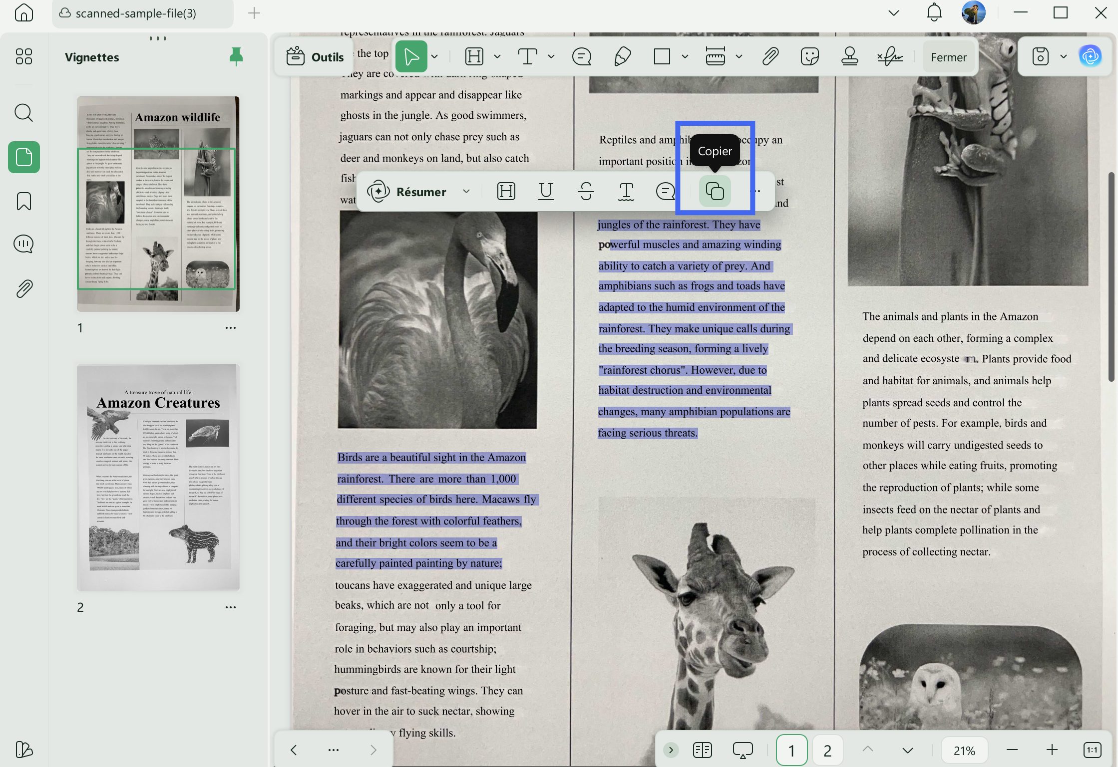 copier le texte d'un PDF OCR en utilisant la barre d'outils dans Updf