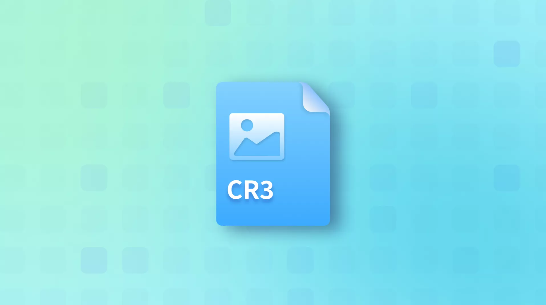 What Does CR3 Mean, and How to Open and Convert It?