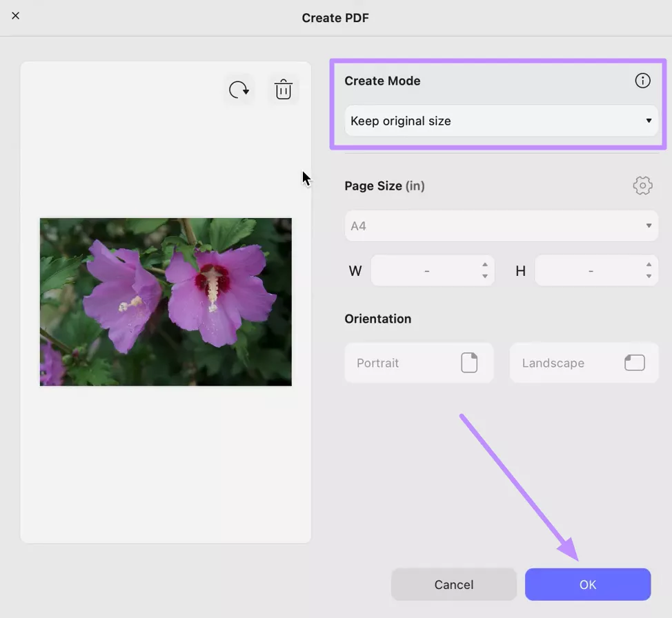 create pdf from arw
