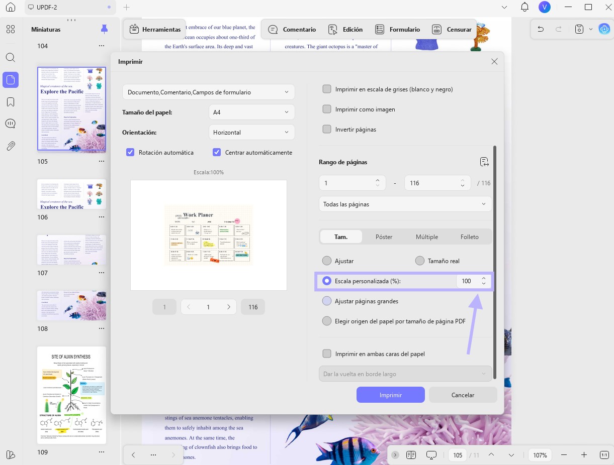 (cómo imprimir un PDF ampliado - formato de salida)