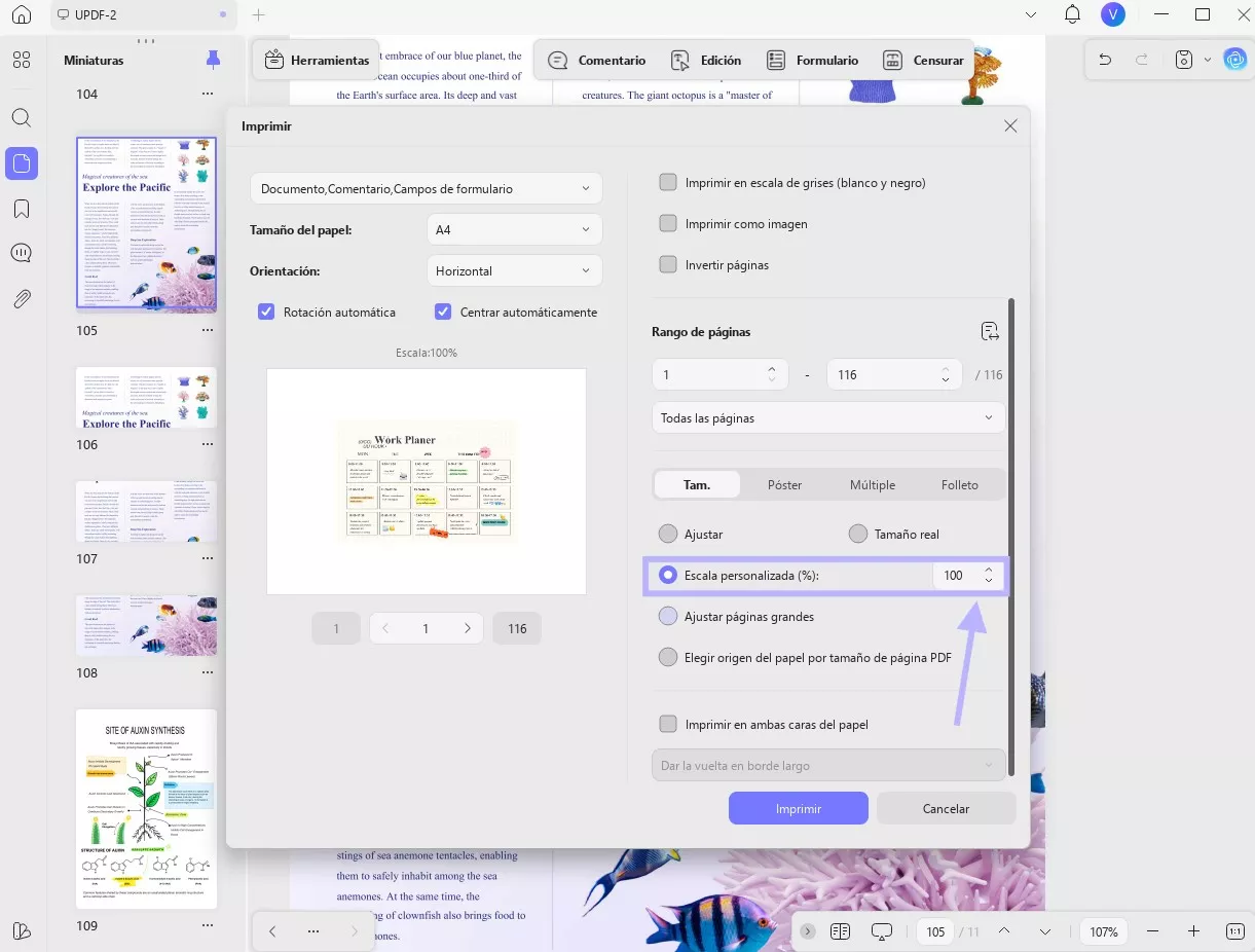 (cómo imprimir un PDF ampliado - formato de salida)
