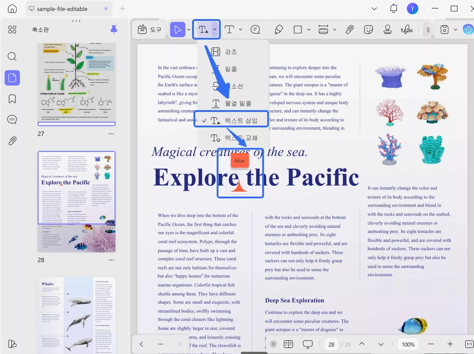 pdf에서 텍스트 삽입