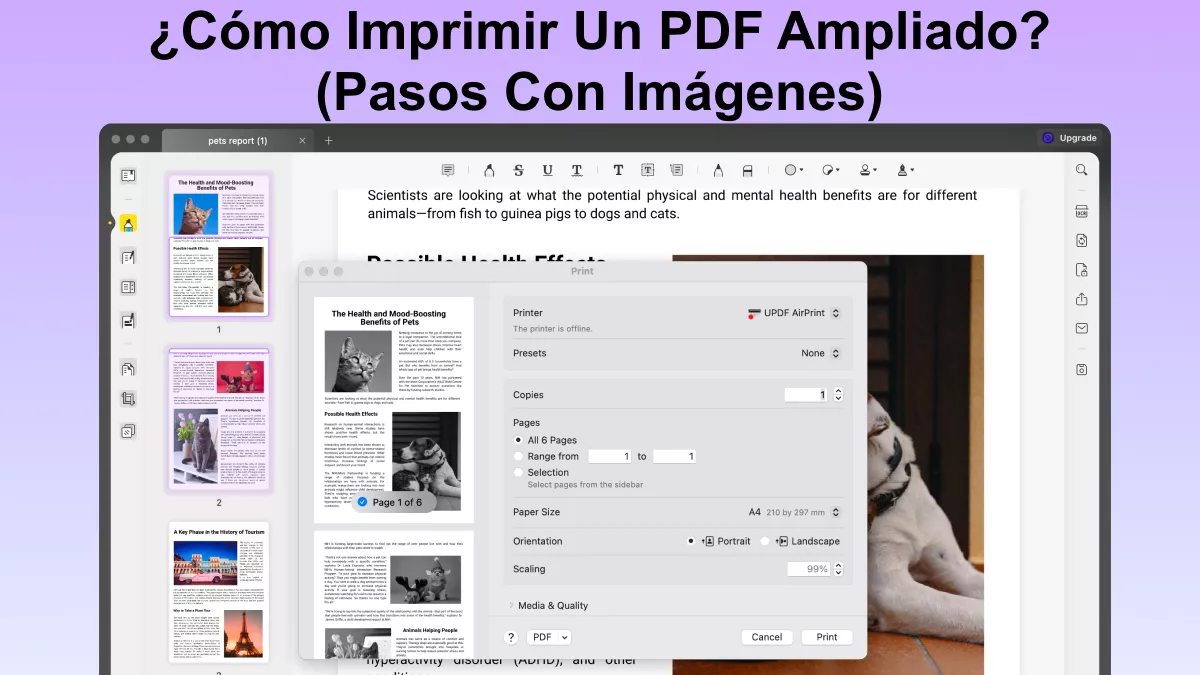 ¿Cómo imprimir un PDF ampliado? (Pasos con imágenes)