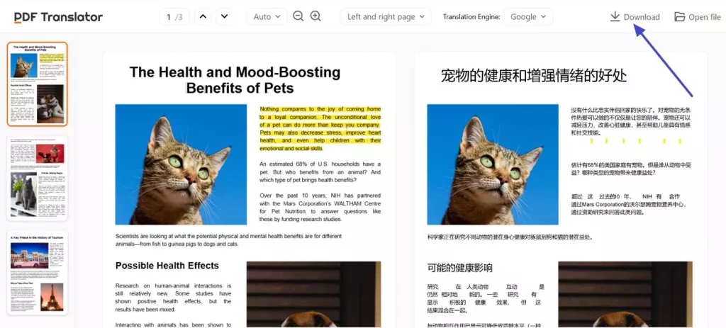 下載翻譯好的 PDF 文檔
