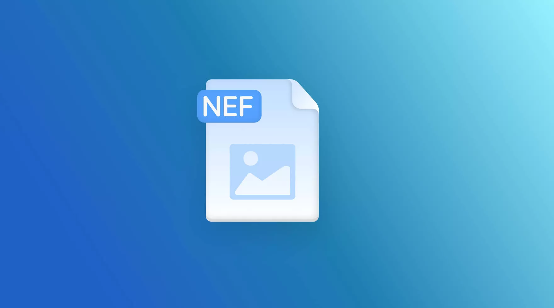 NEF File: The Complete Guide