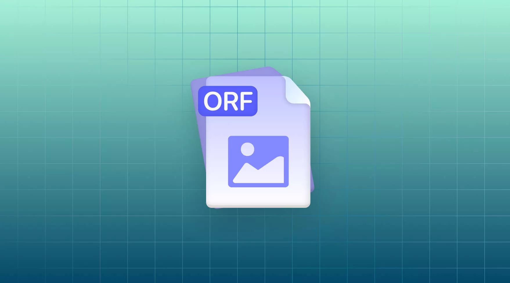 ORF File: Everything You Need is Here