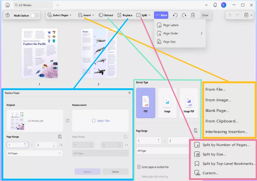 Organise files on UPDF Mac app