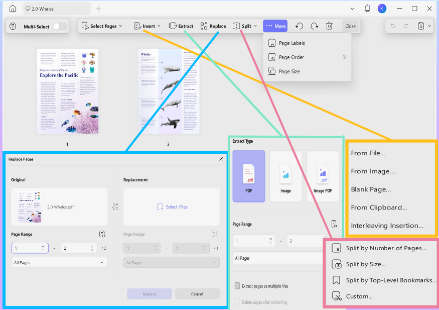 Organise files on UPDF Mac app
