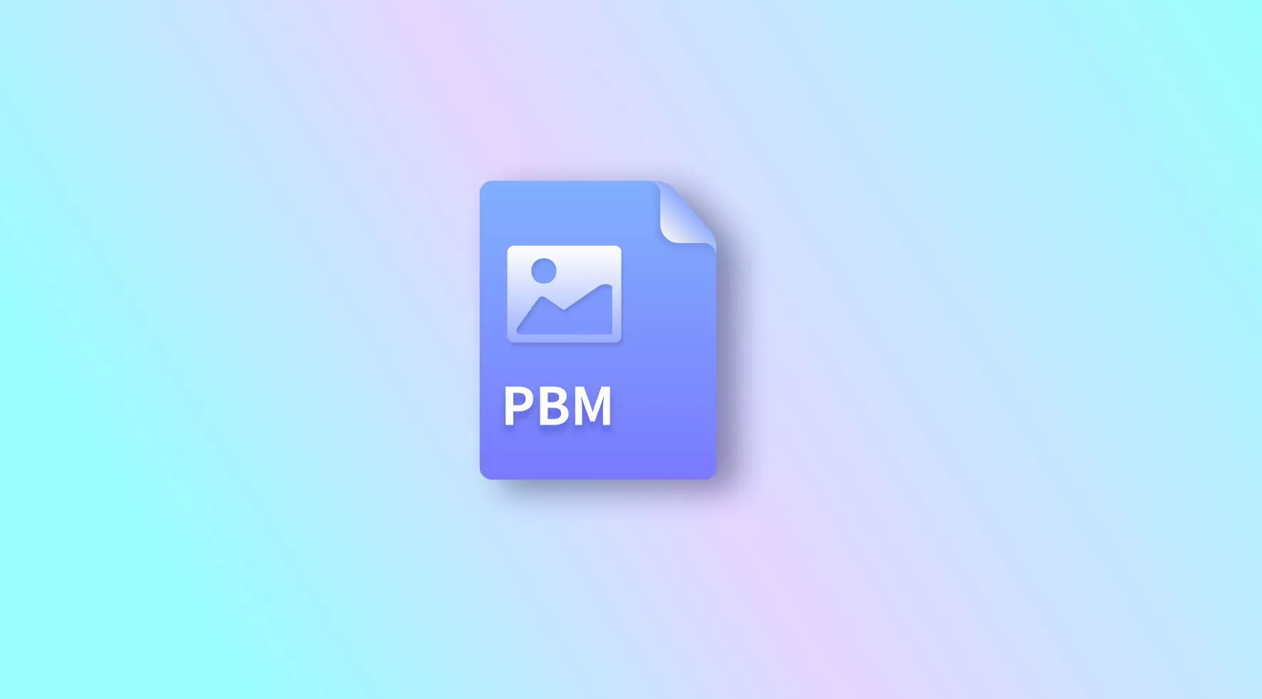 PBM File: What It is and How to Open?