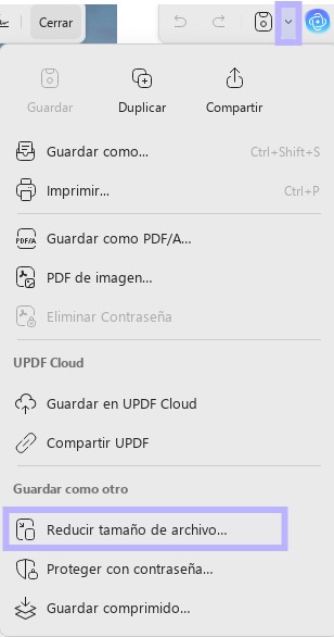 El panel de vista previa de PDF no funciona, reduce el tamaño del archivo