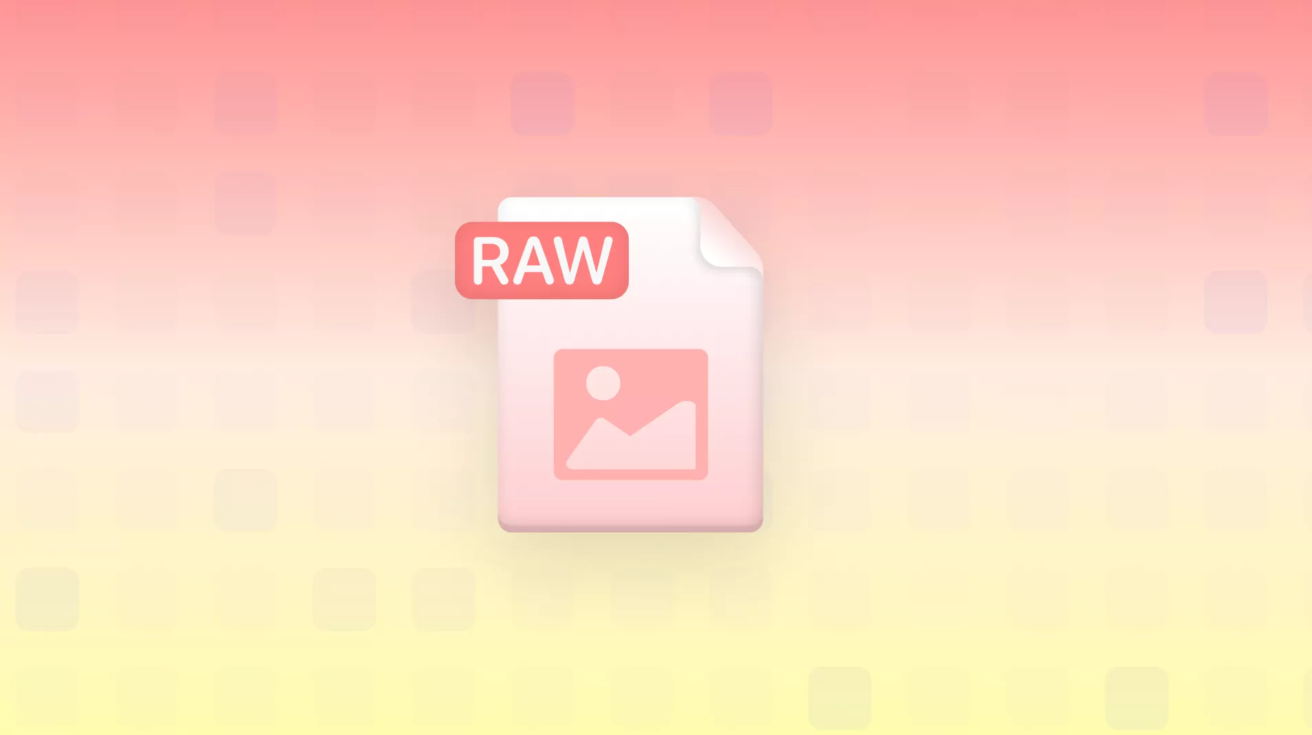 RAW File: What It Is and How to Open?