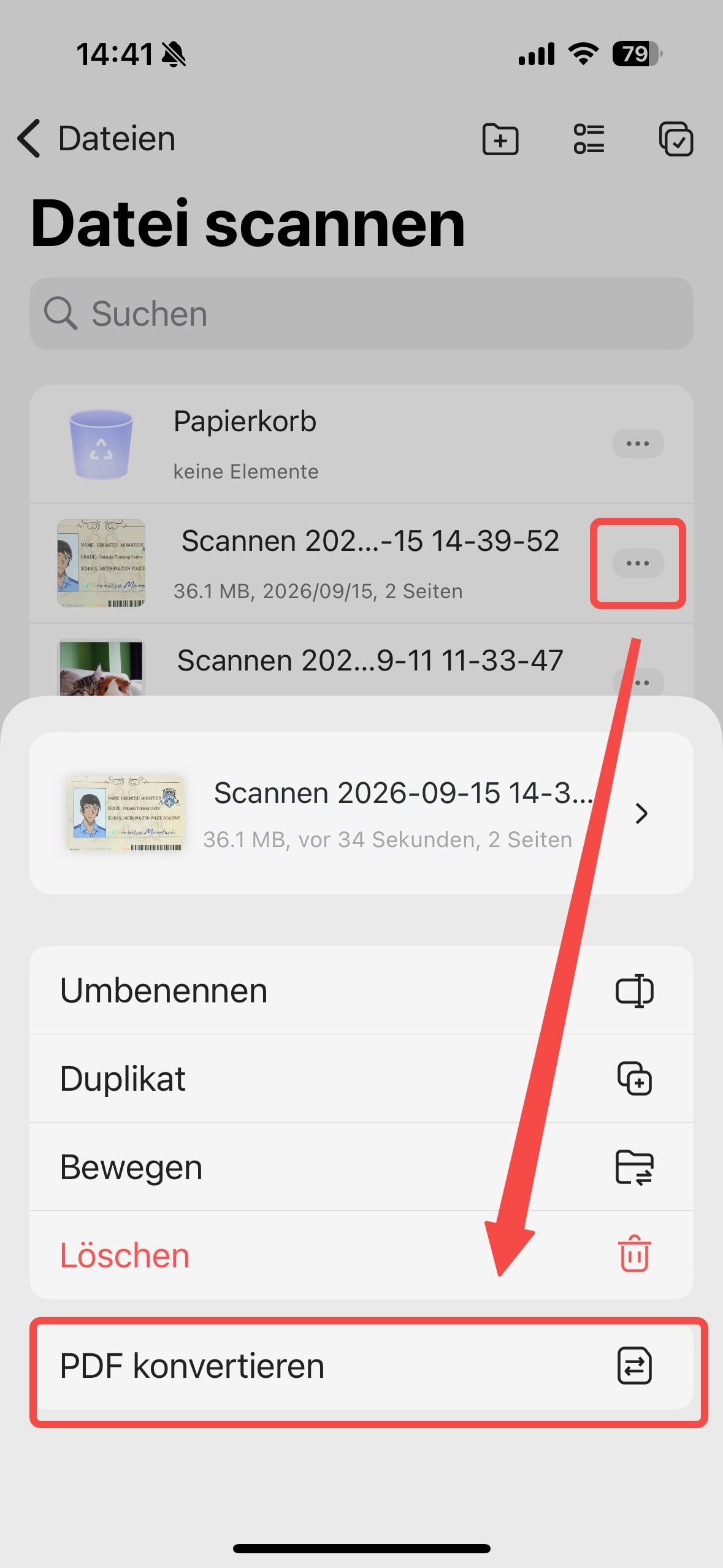Personalausweis in PDF konvertieren