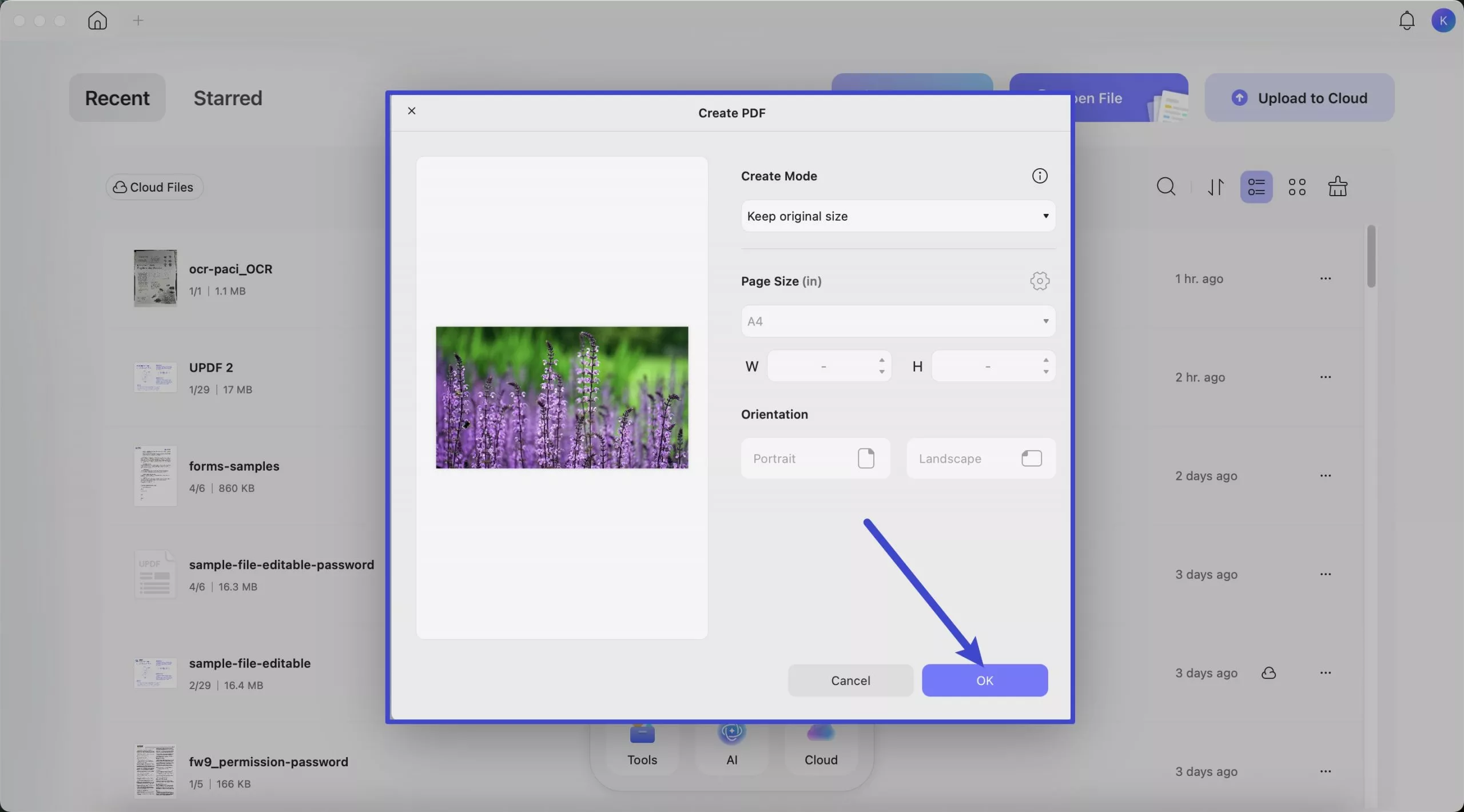 updf pop-up window with options to adjust page size, orientation, and margins before converting cr2 to pdf