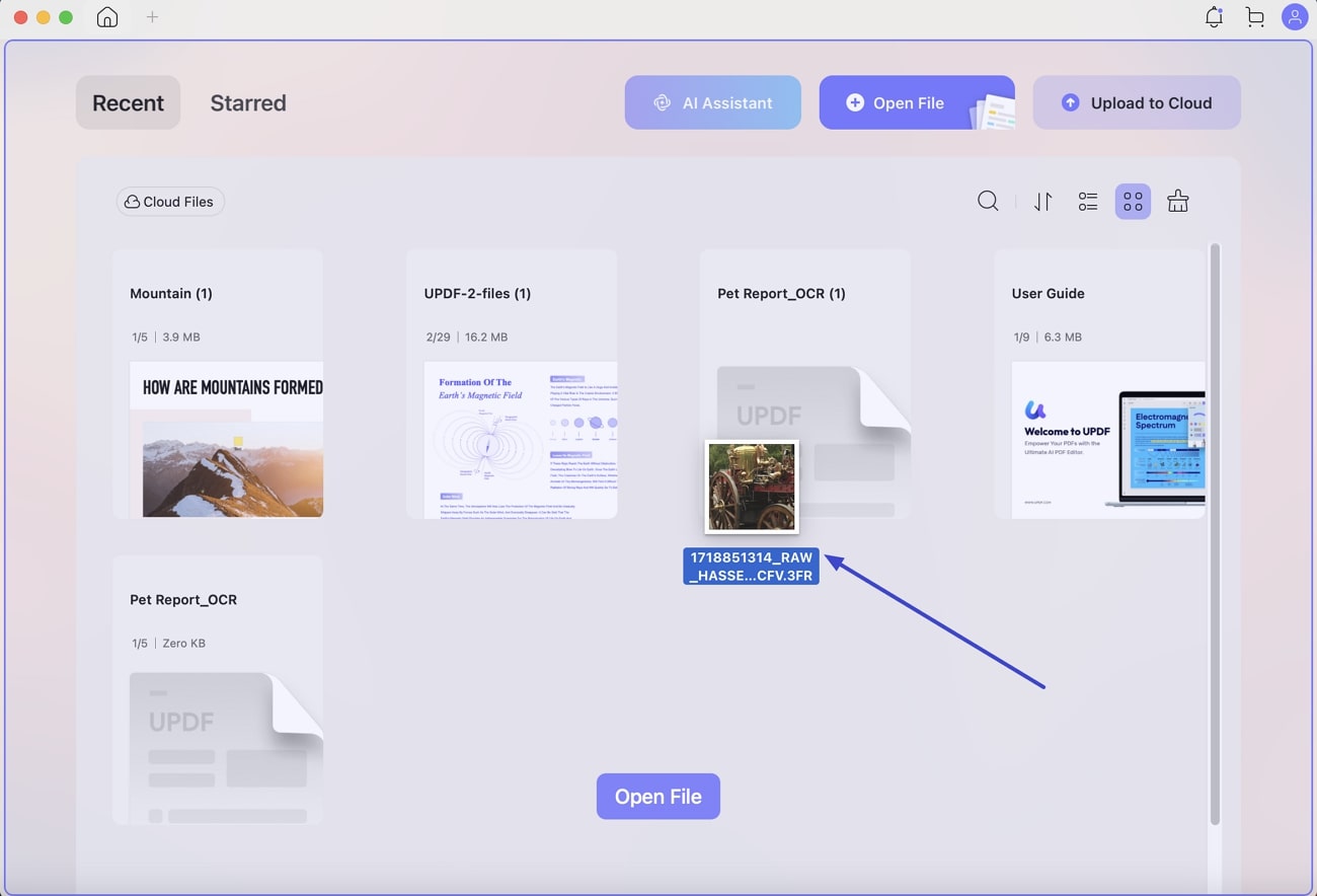 use open file updf mac
