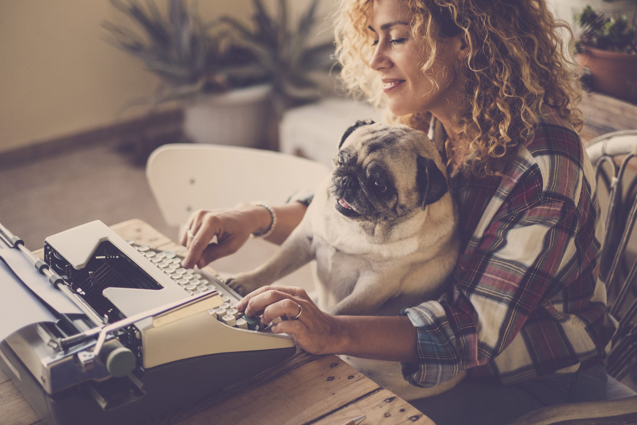 Writers and Content Creators