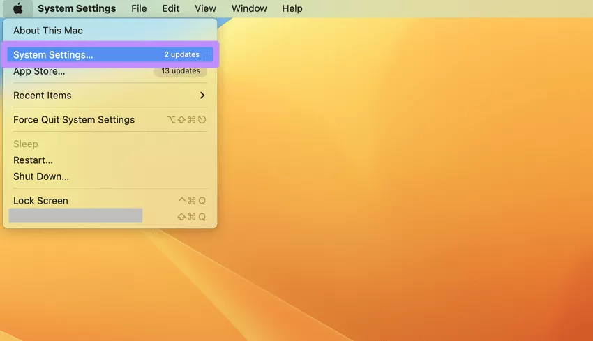 access the system settings mac