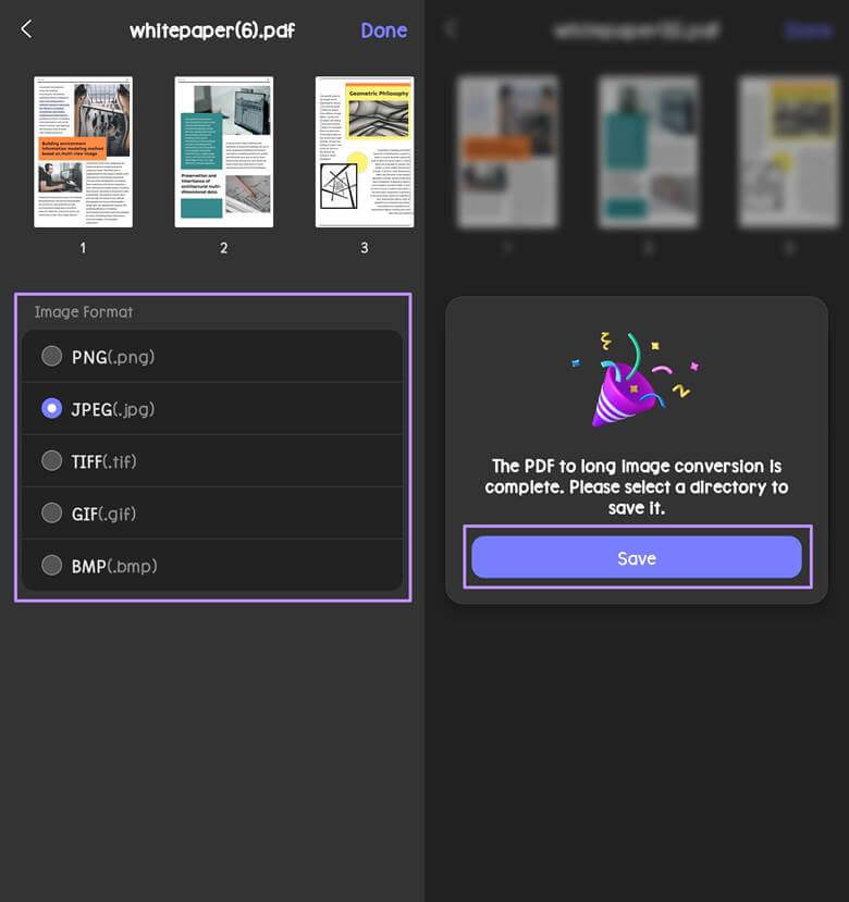 choose the image format updf moni;e