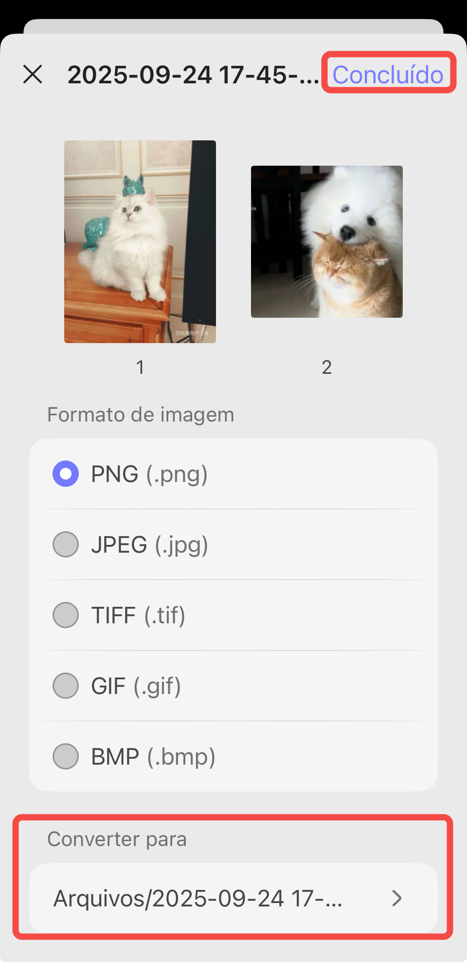 converter para imagem longa