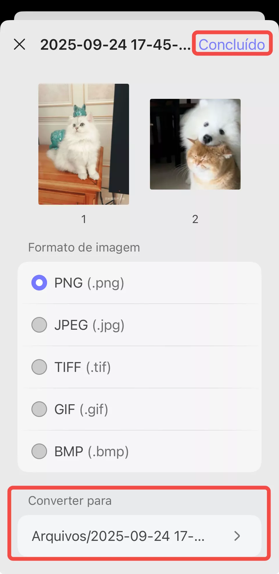 converter para imagem longa