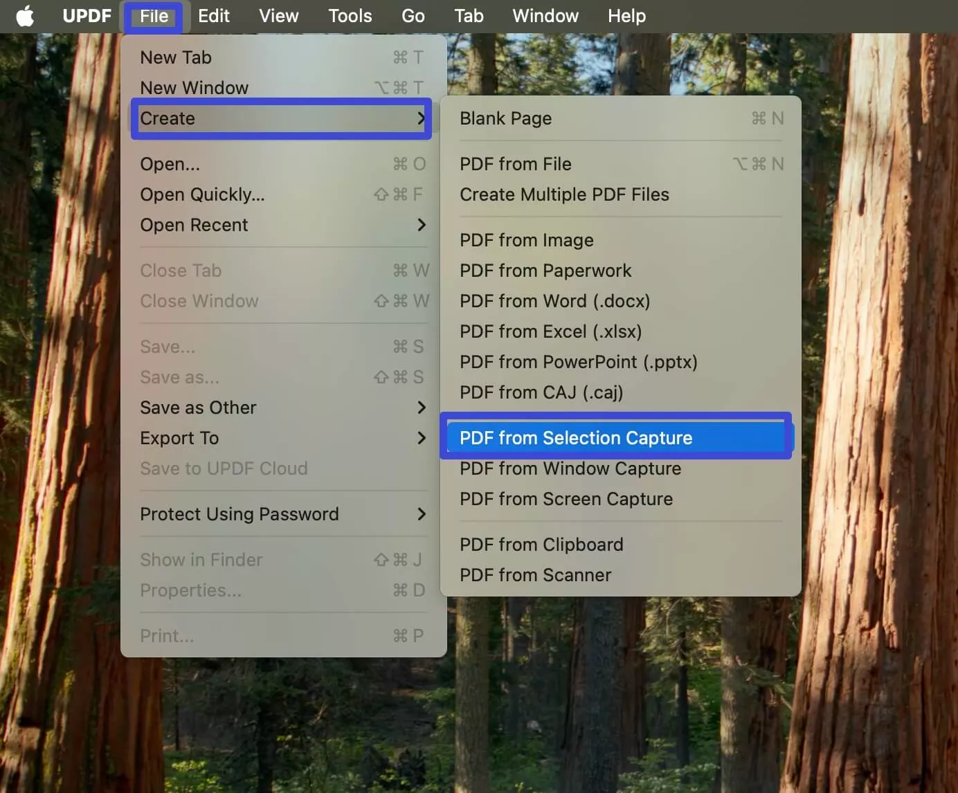 create pdf from selection capture mac
