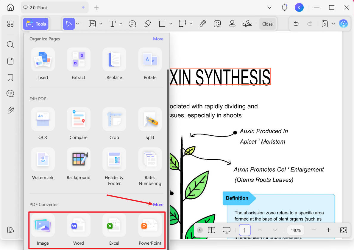 use pdf converter feature