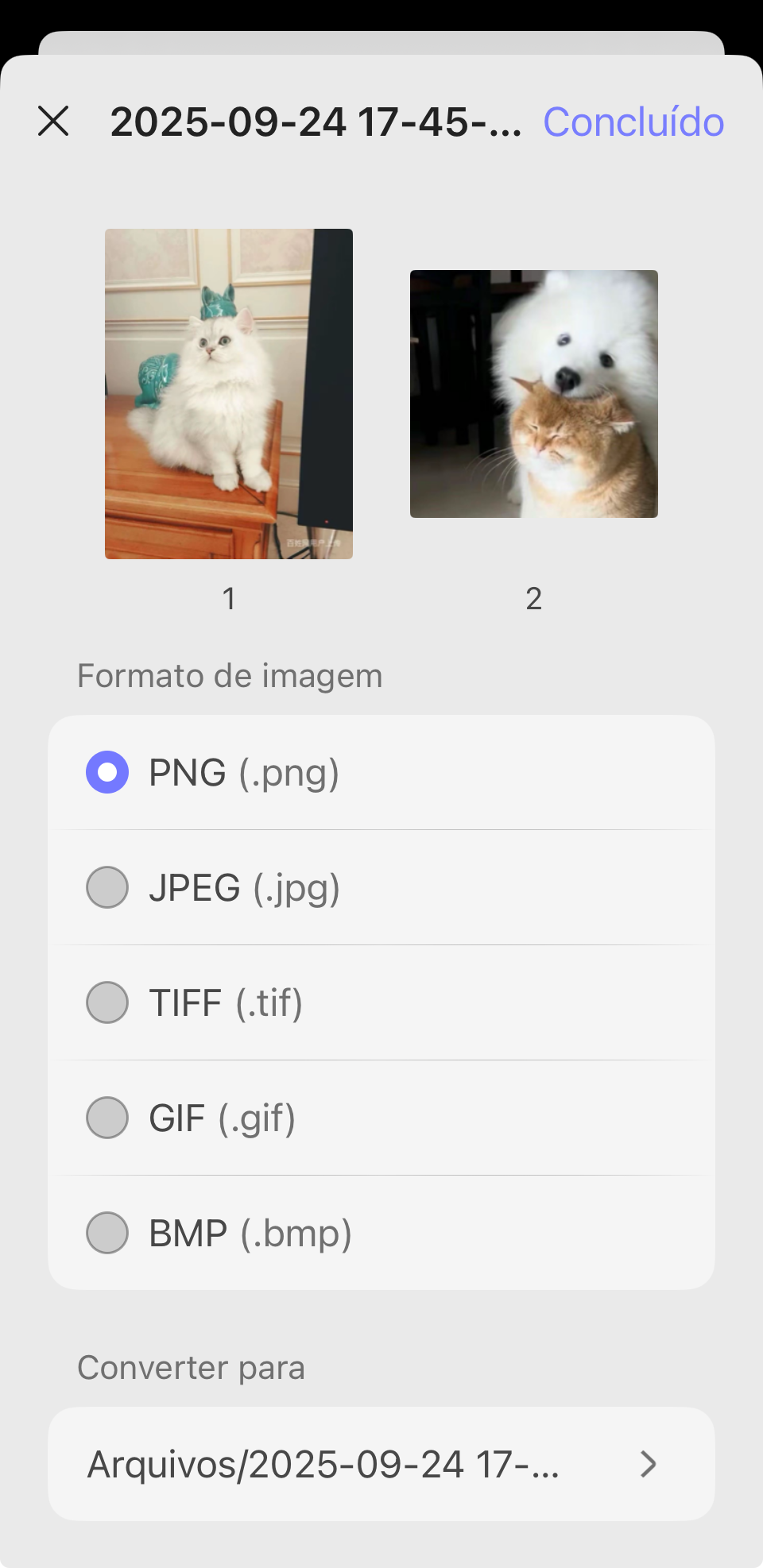 formato de imagem