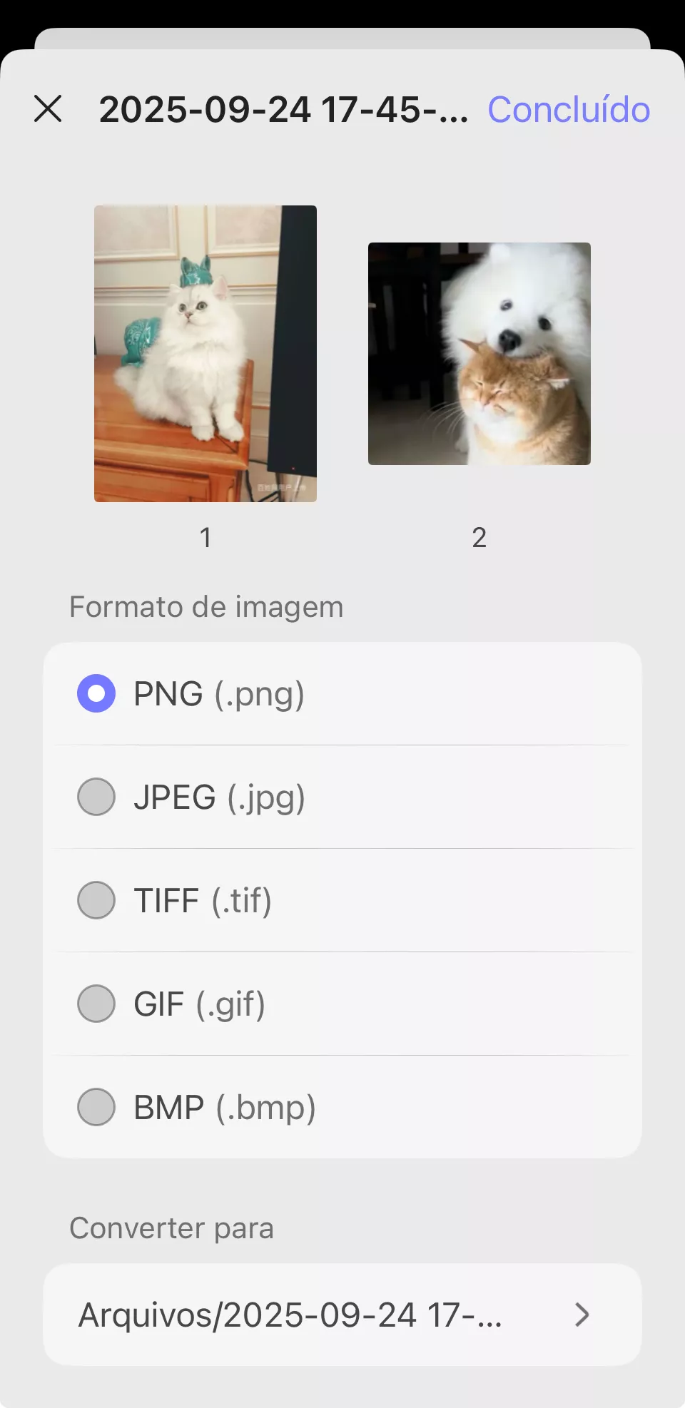 formato de imagem