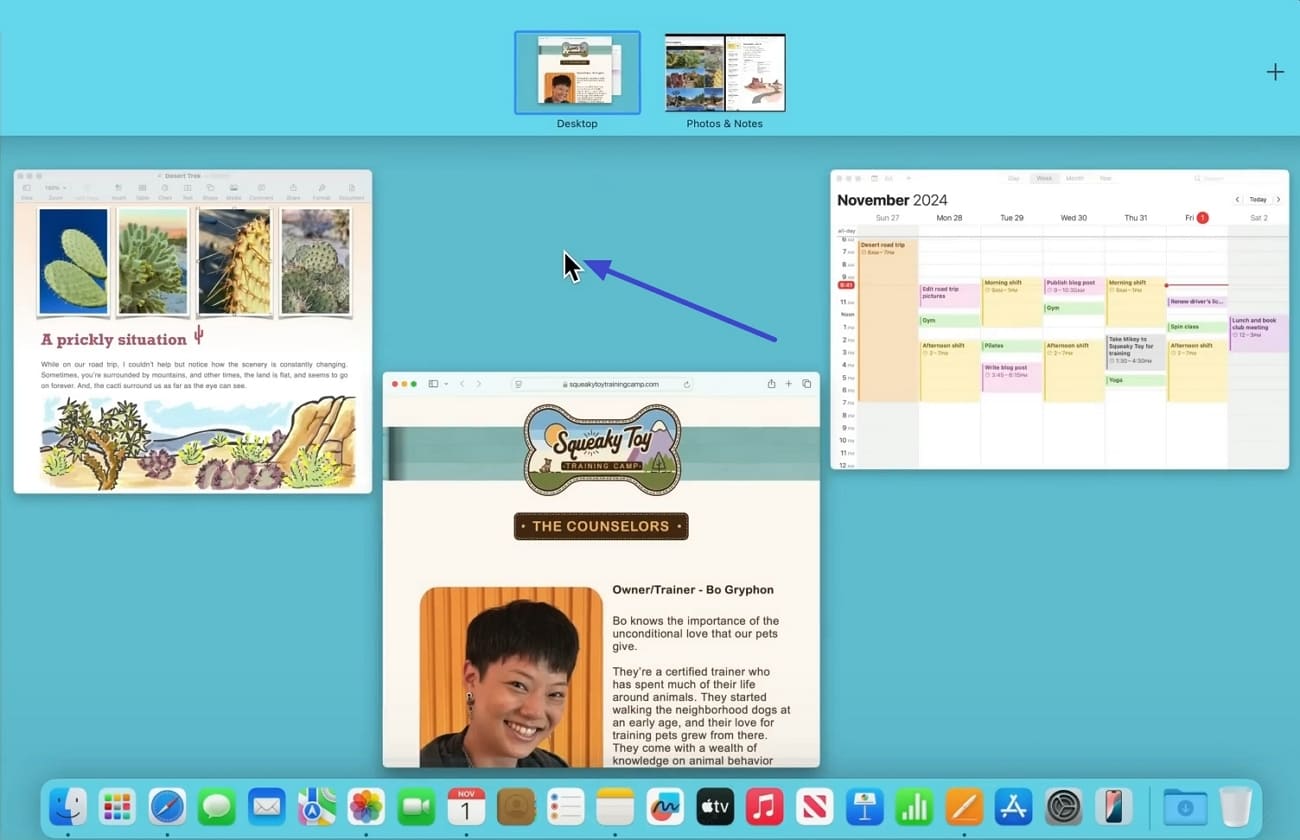exit split screen in mac