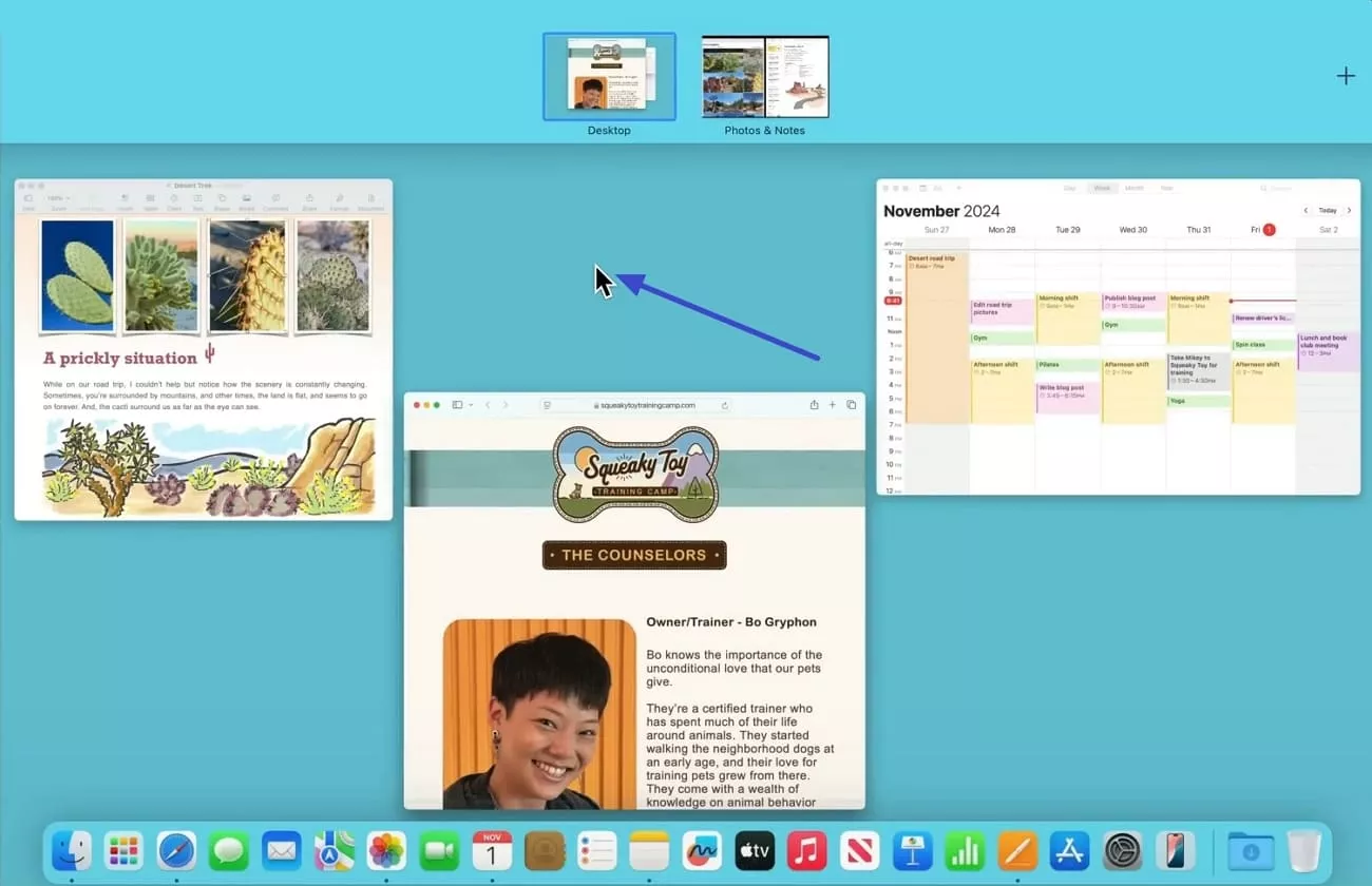 exit split screen in mac