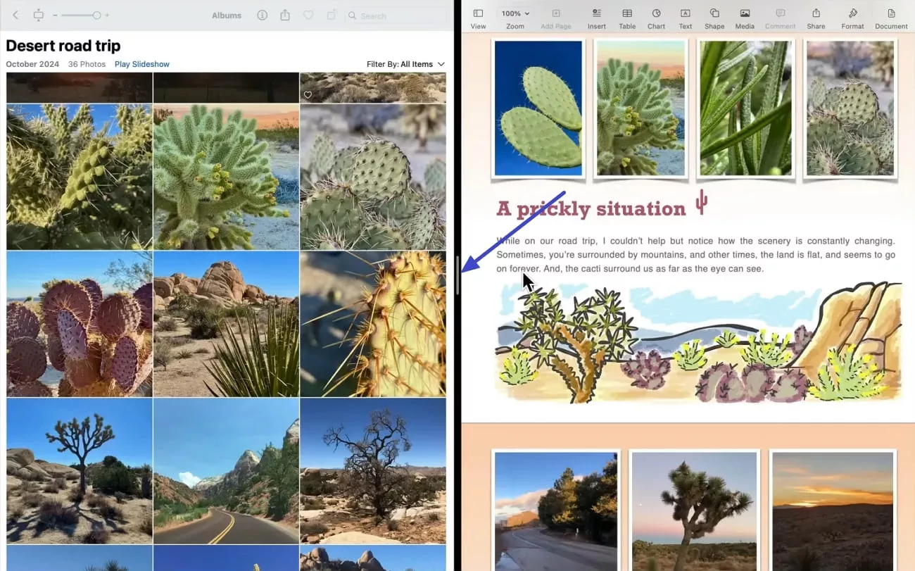 recenter split screen on mac