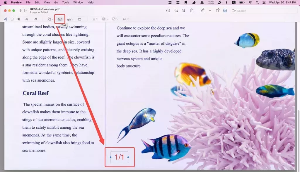 使用預覽程式為 PDF 新增頁碼