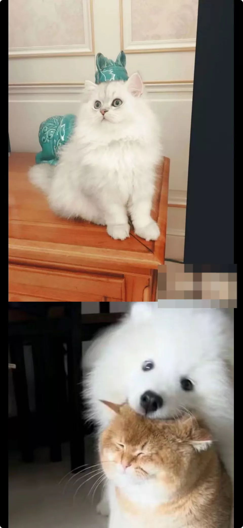 pdf para imagem longa