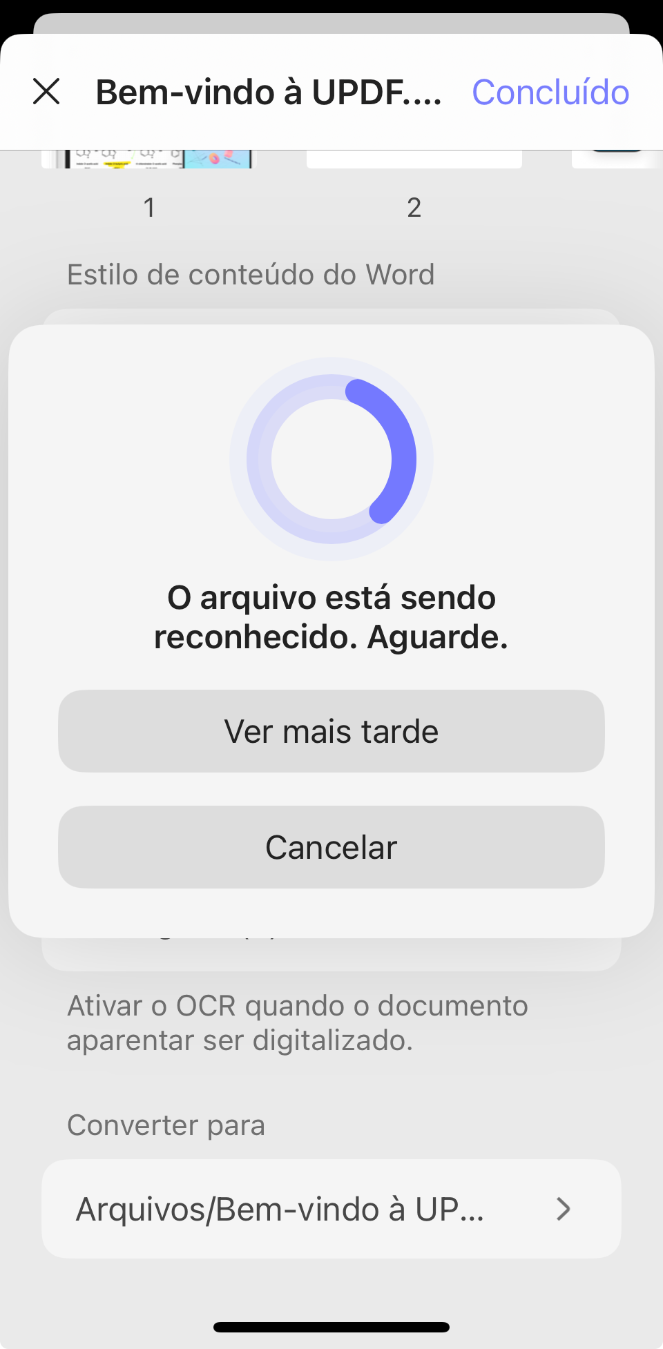 O arquivo está sendo reconhecido.