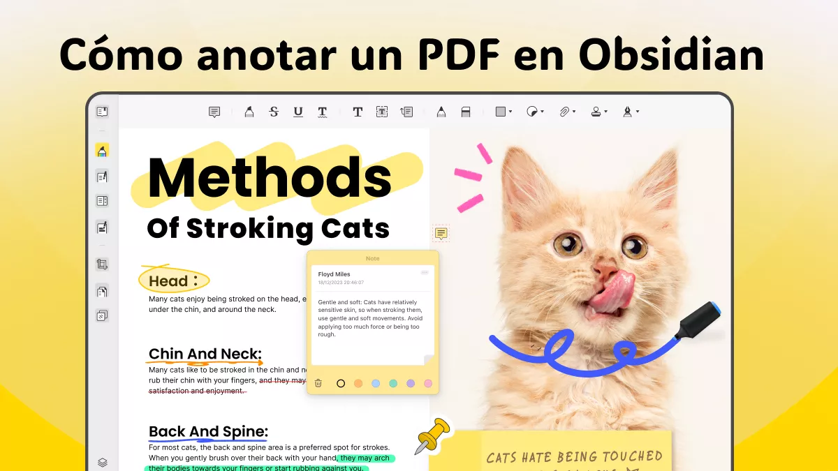 ¿Cómo anotar un PDF en Obsidian? 3 formas fáciles