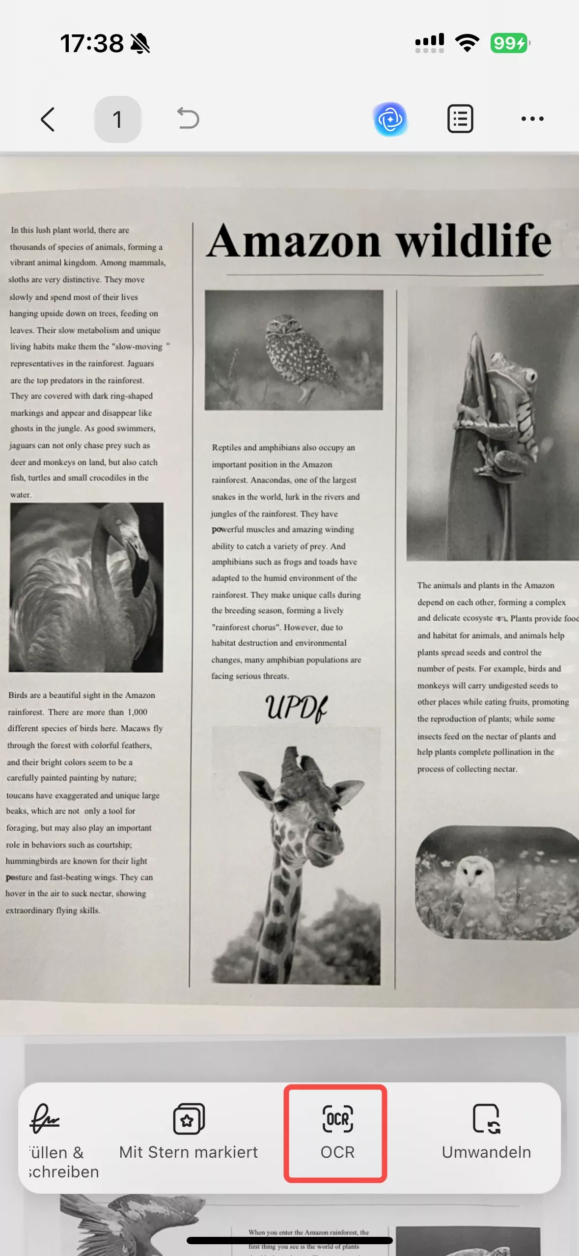 Klicken Sie auf die OCR-Schaltfläche unten.