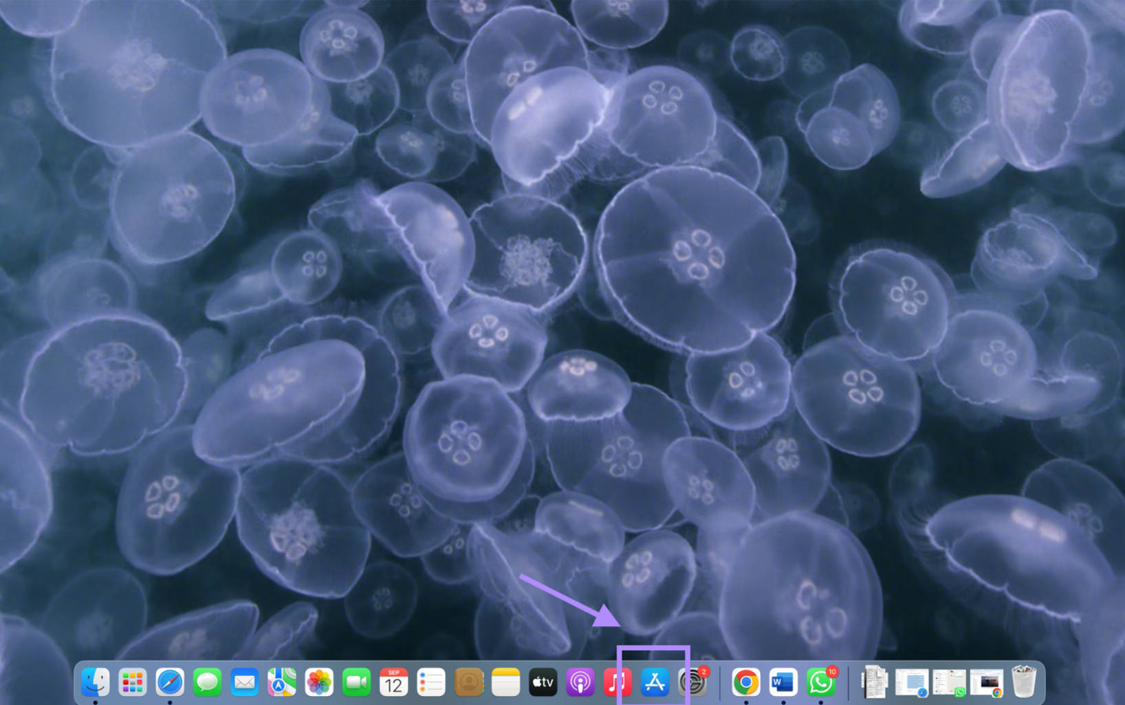 open app store to install mac