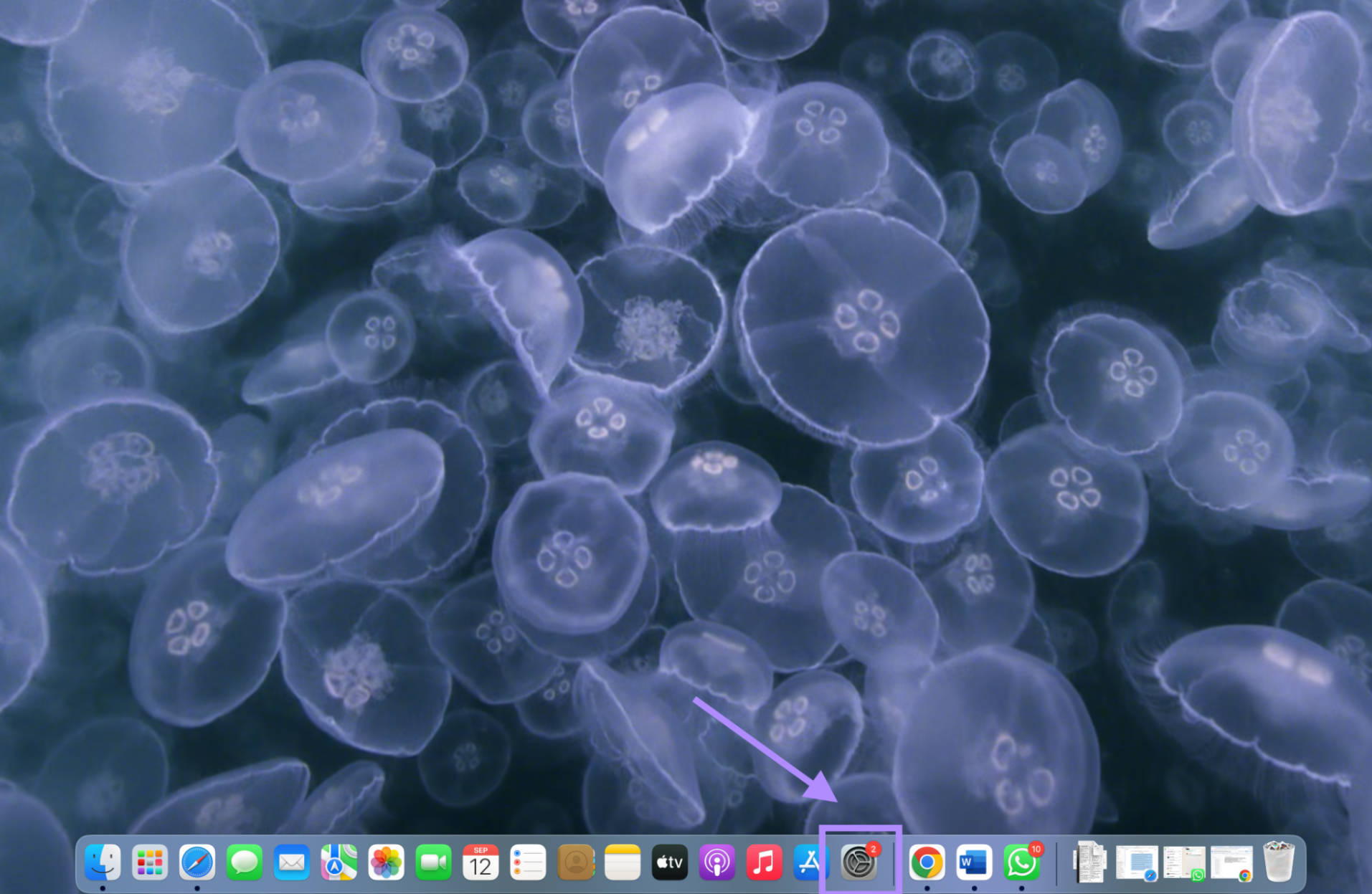 open settings from dock mac