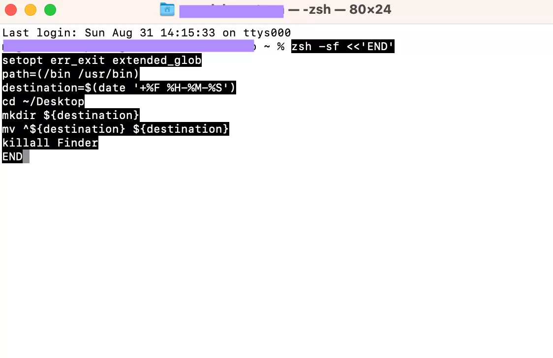 paste the code in terminal mac