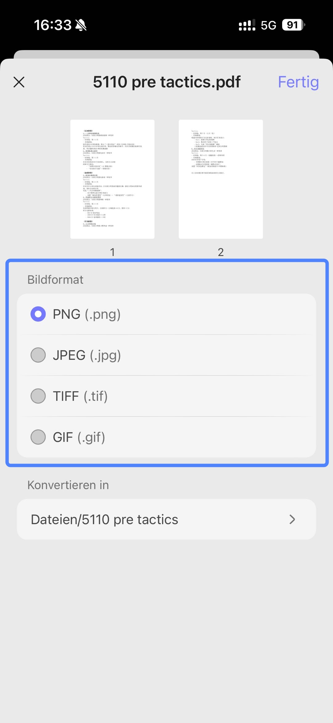 Wählen Sie unter „Bildformat“