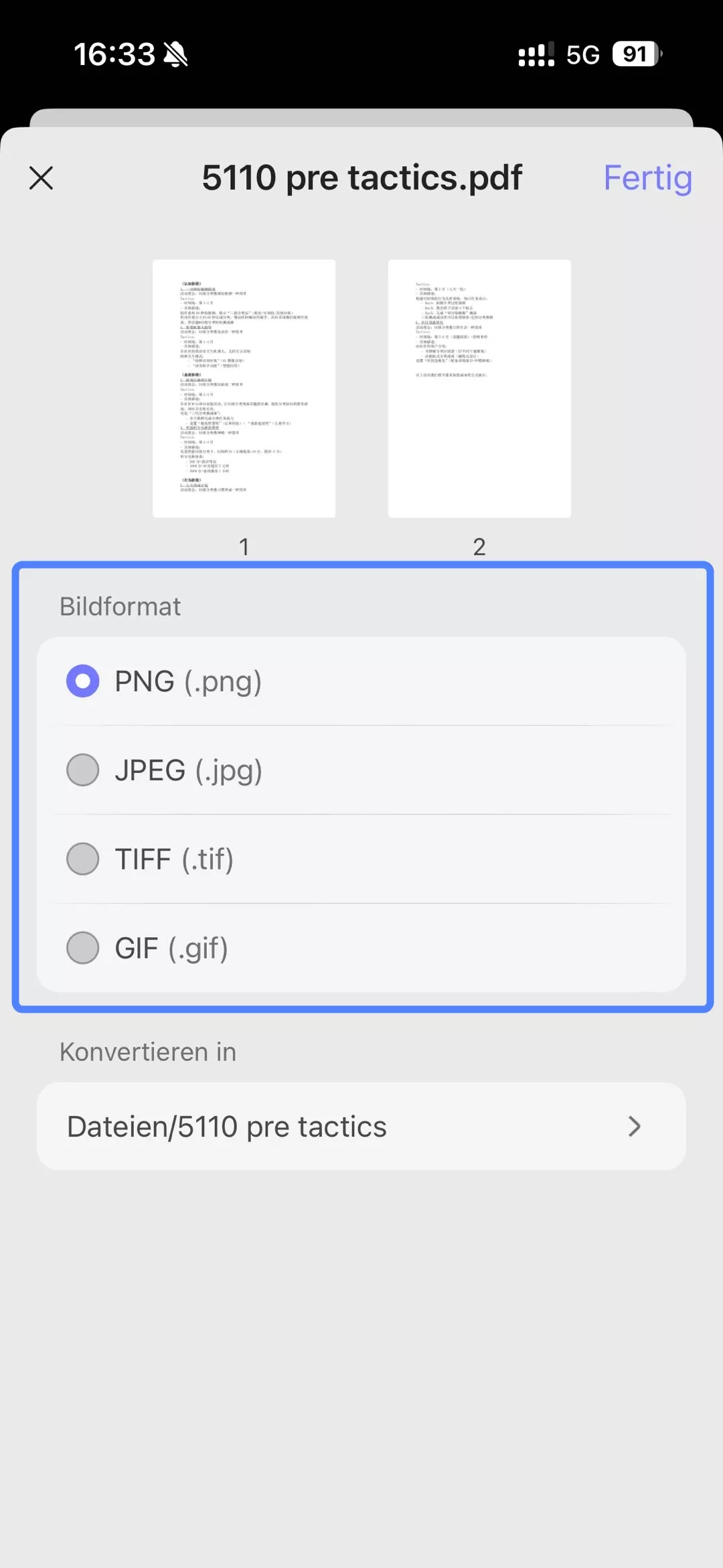 Wählen Sie unter „Bildformat“