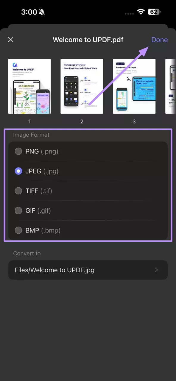 pick format and hit done updf ios
