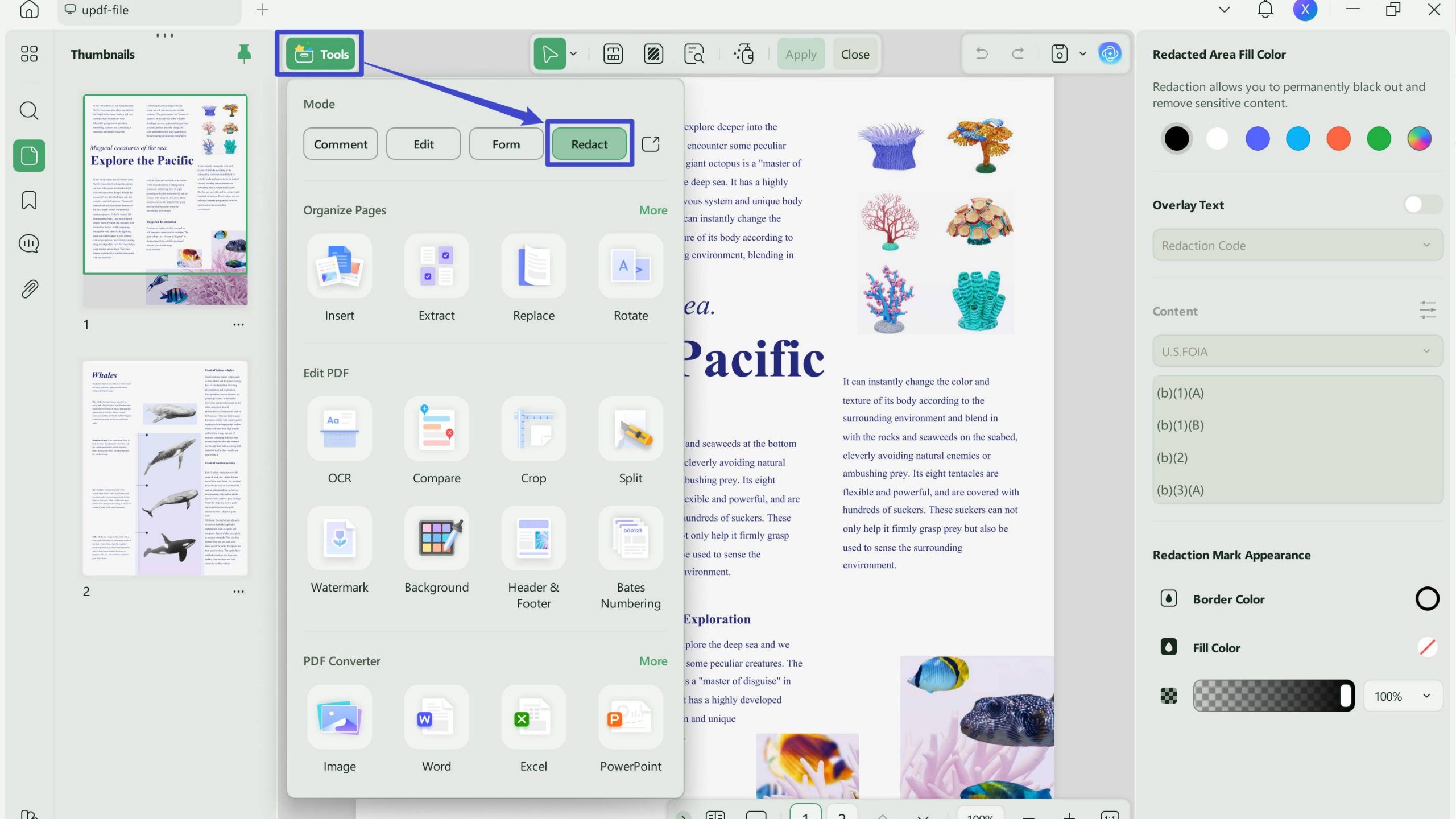 play pdf in slideshow