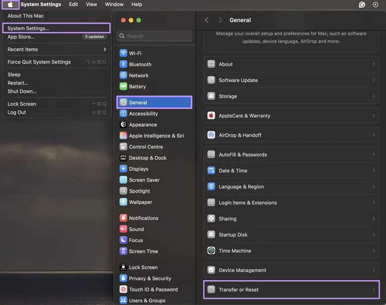 Alt text: reset mac from settings